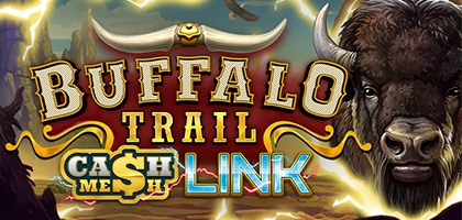 Buffalo Trail – Cash Mesh LINK