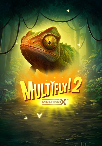 Play Multifly! 2